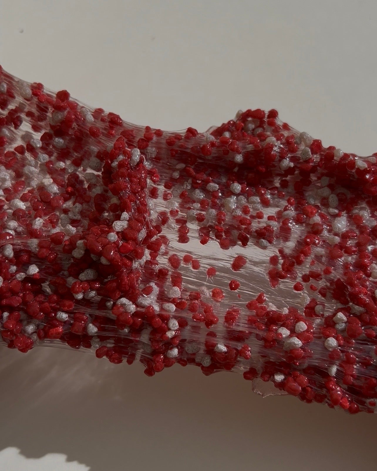 Raspberry Seeds