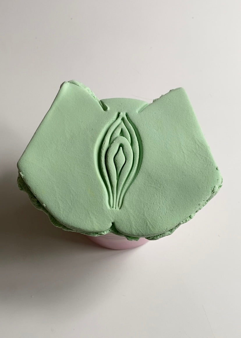 (Alien) Coochie Cookie