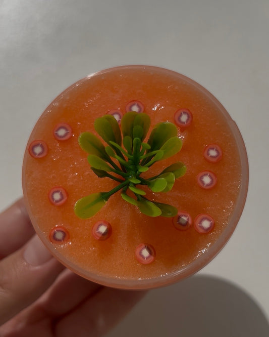 Heirloom Tomato Sorbet