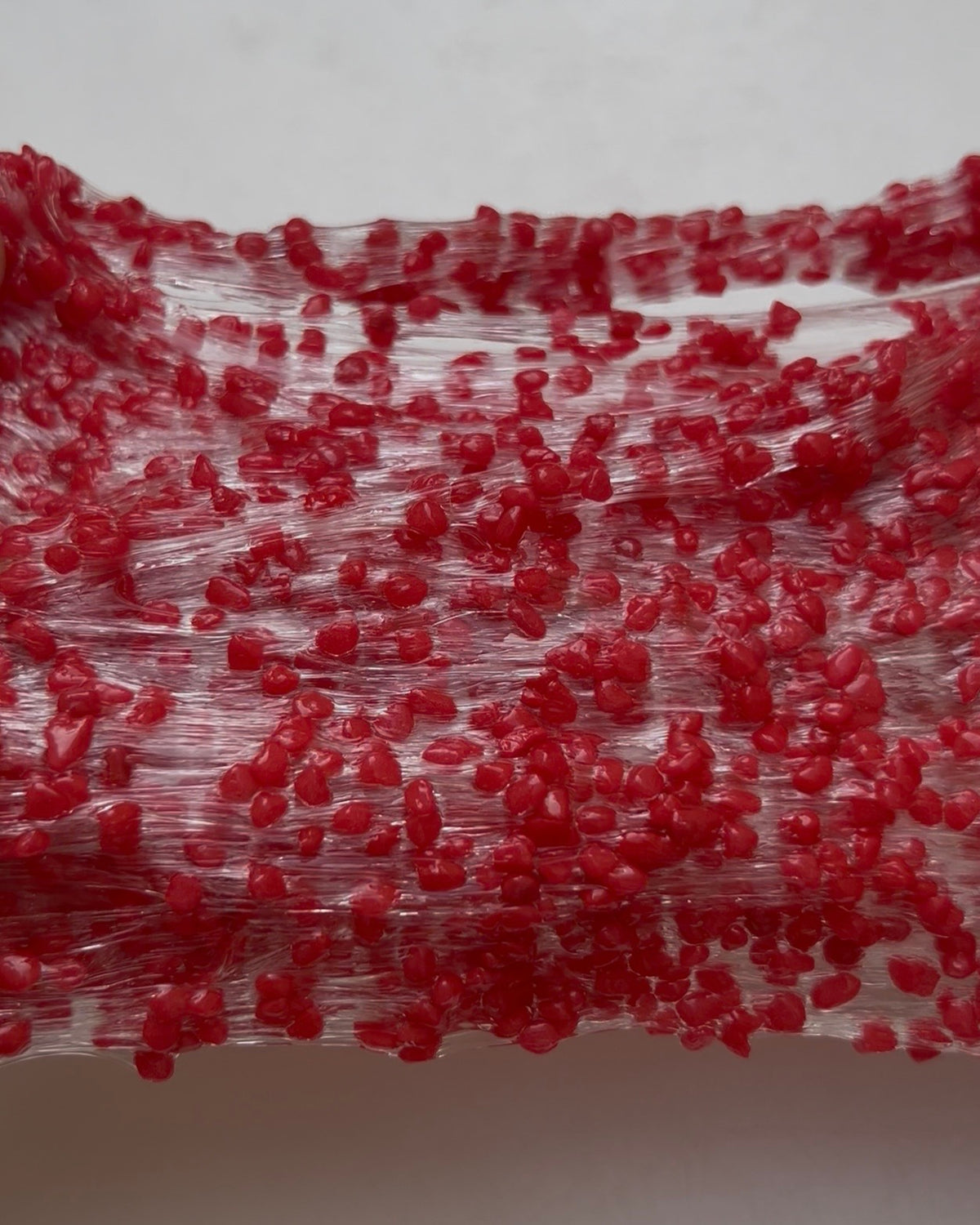 Raspberry Seeds