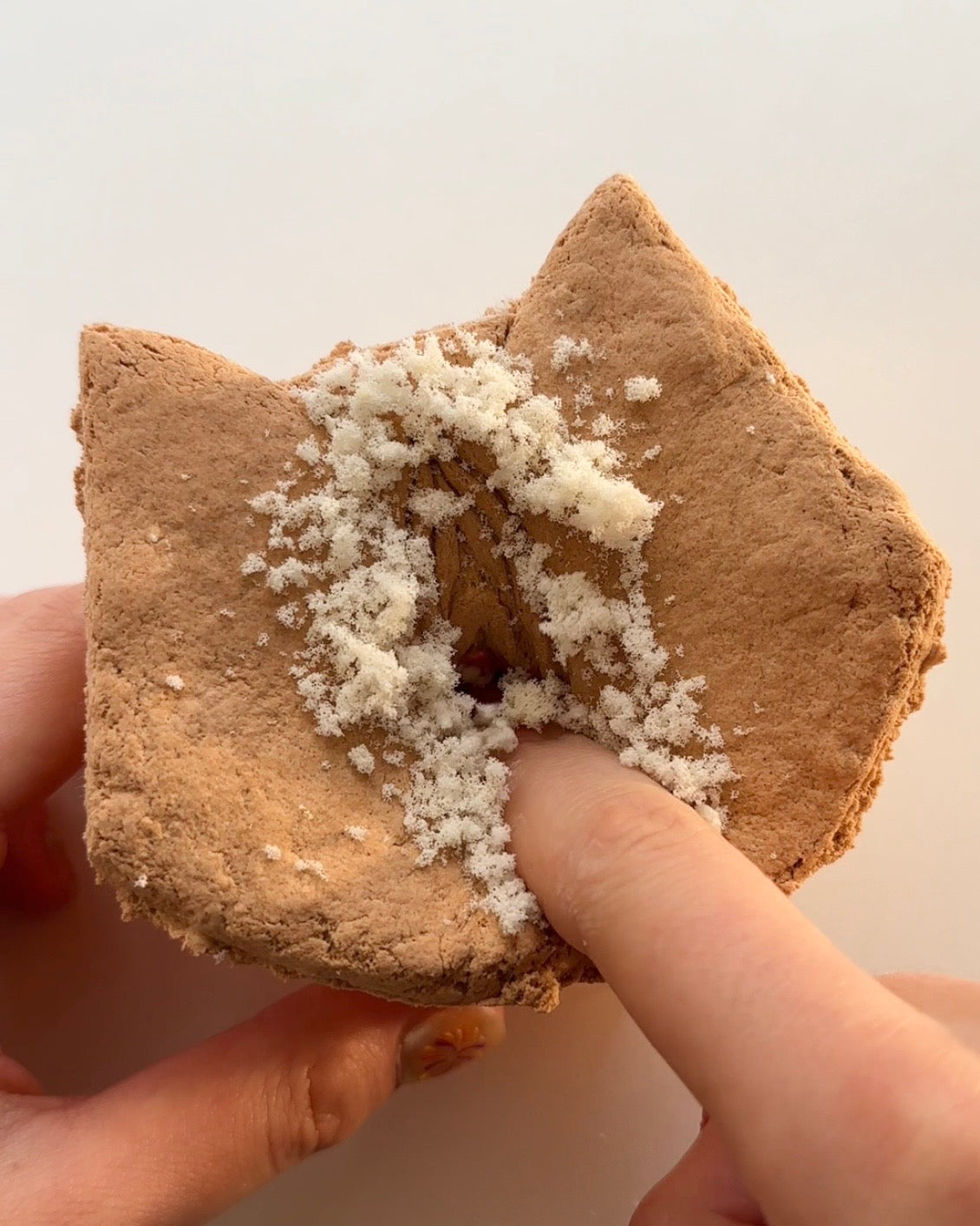 Pumpkin Coochie Cookie [Unhinged Collection]