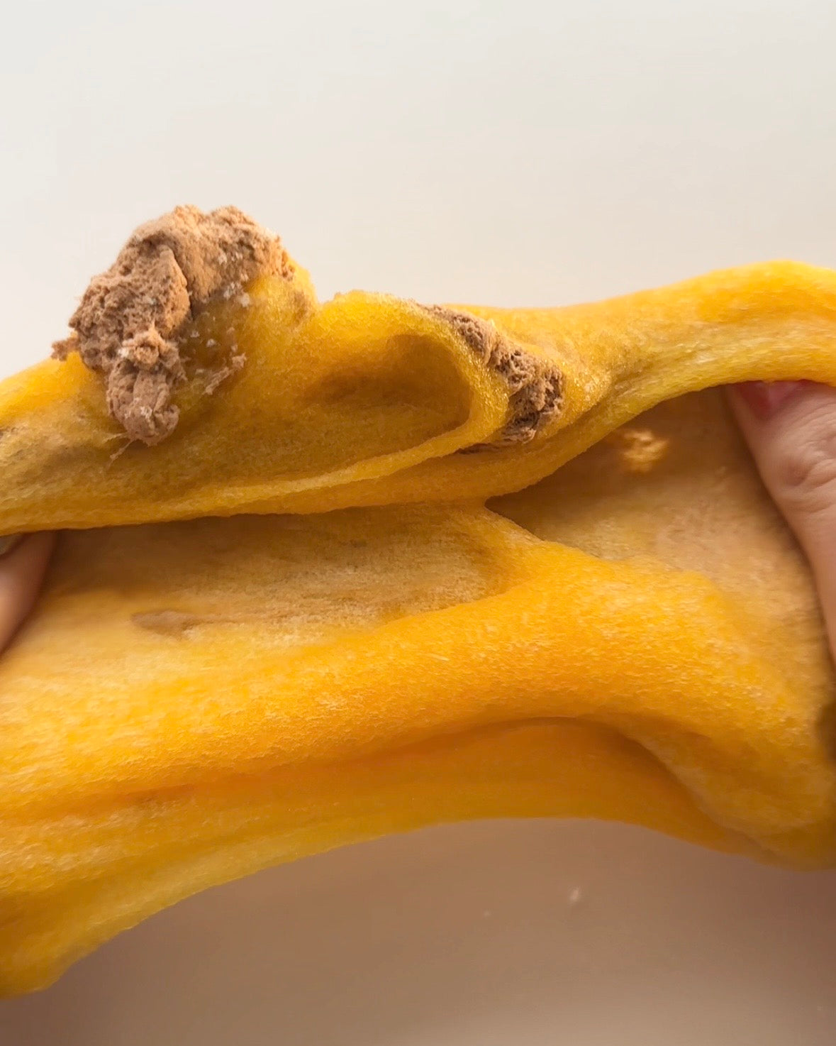 Pumpkin Coochie Cookie [Unhinged Collection]