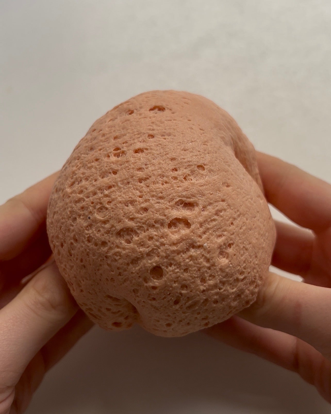 Strength [Tarot Collection]