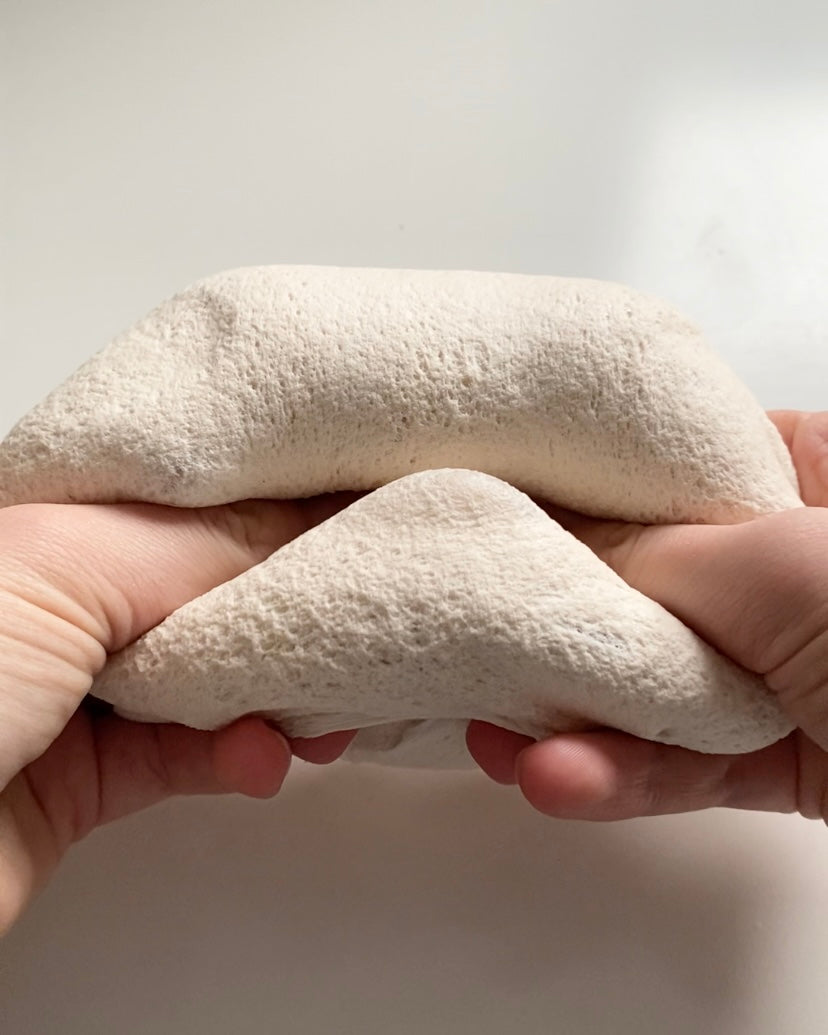 Bear Bread