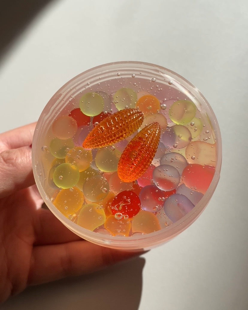 Glass Gem Corn [Autumn Collection]