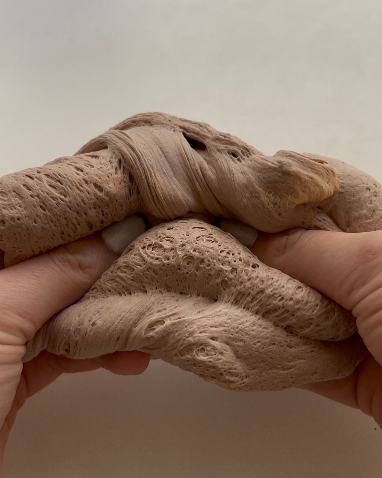 Chocolate Frog [Confectionery Collection]