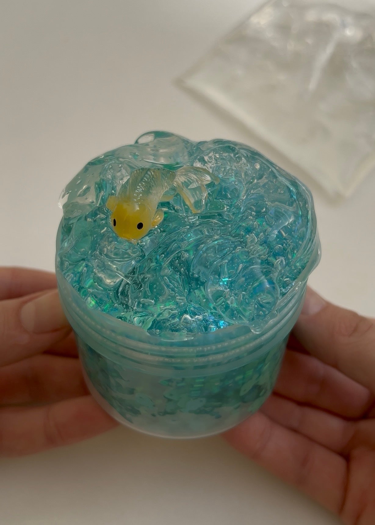 Fish in a Bag