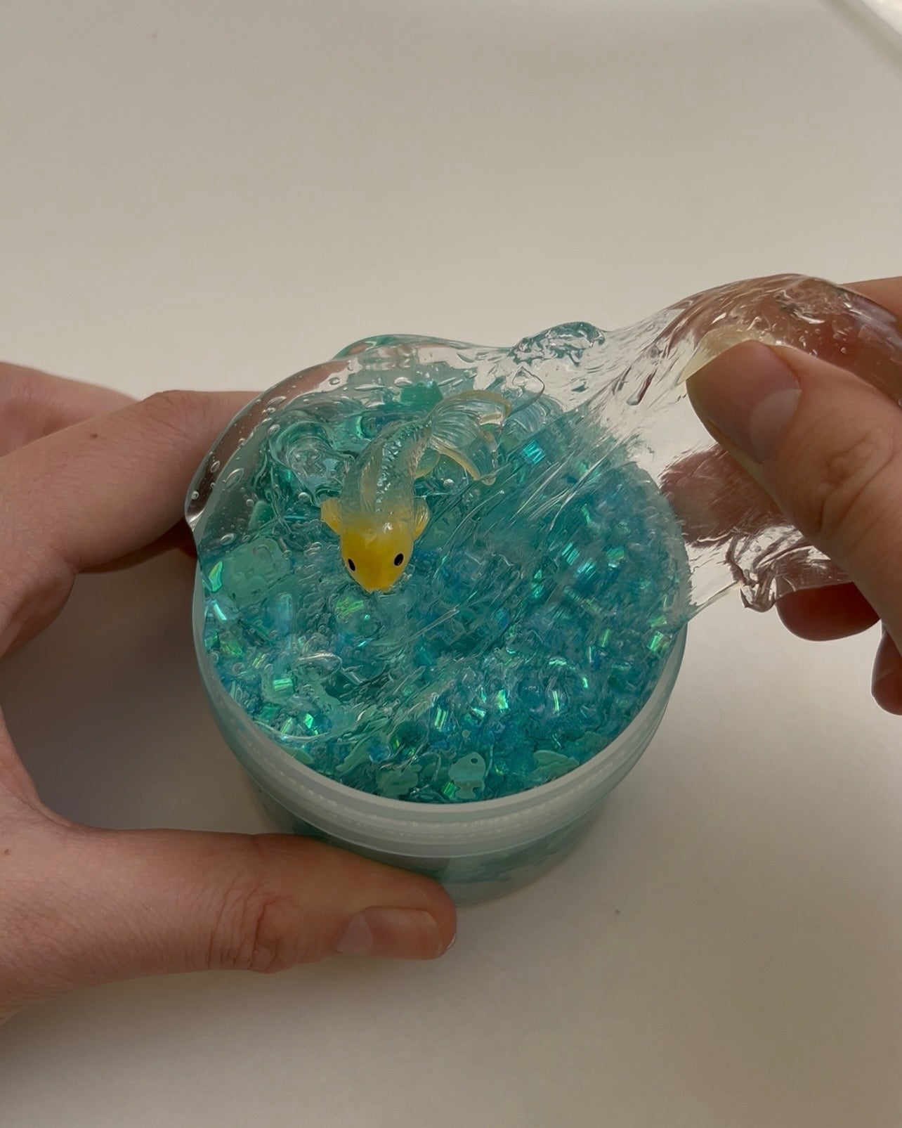Fish in a Bag