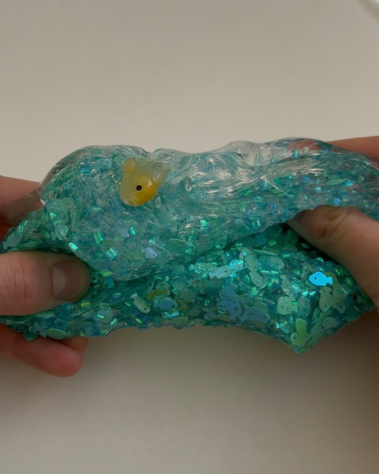 Fish in a Bag