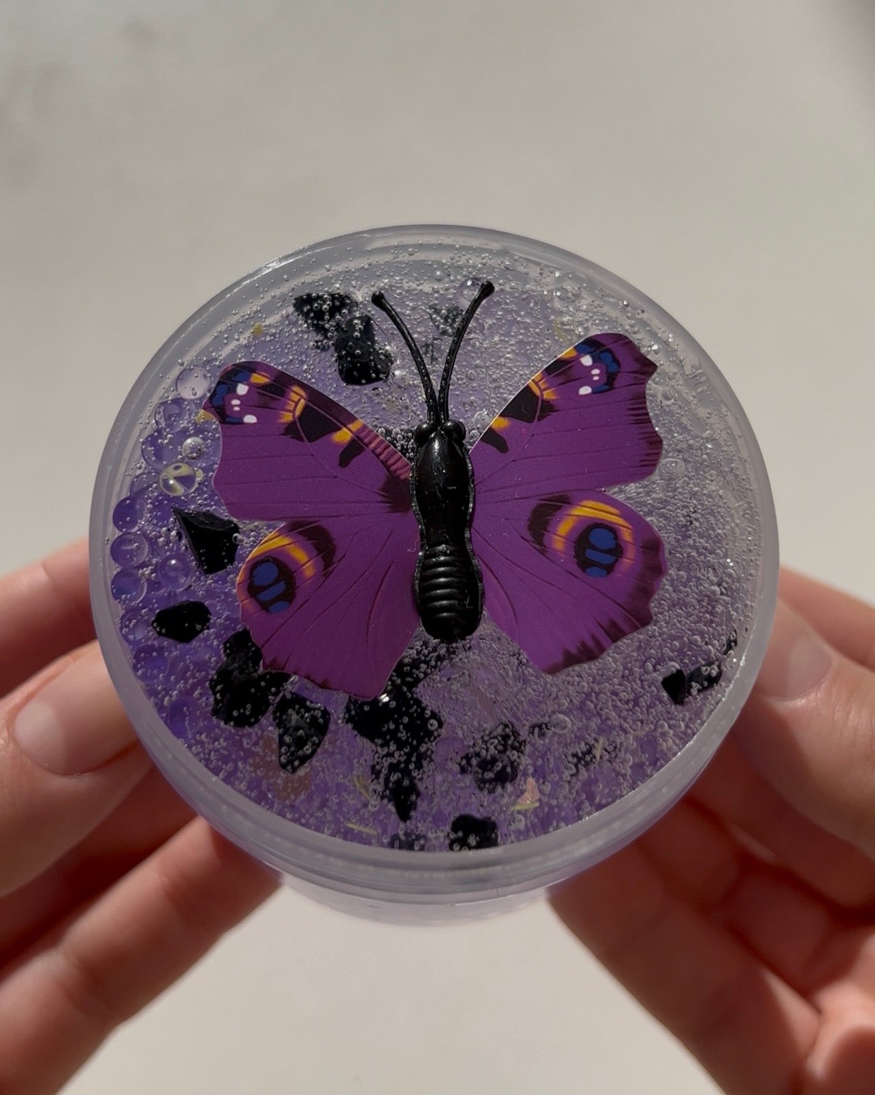 Butterfly Effect