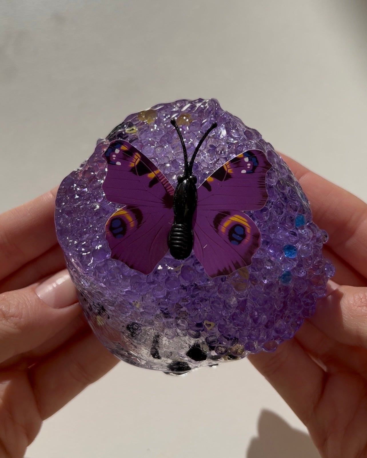 Butterfly Effect