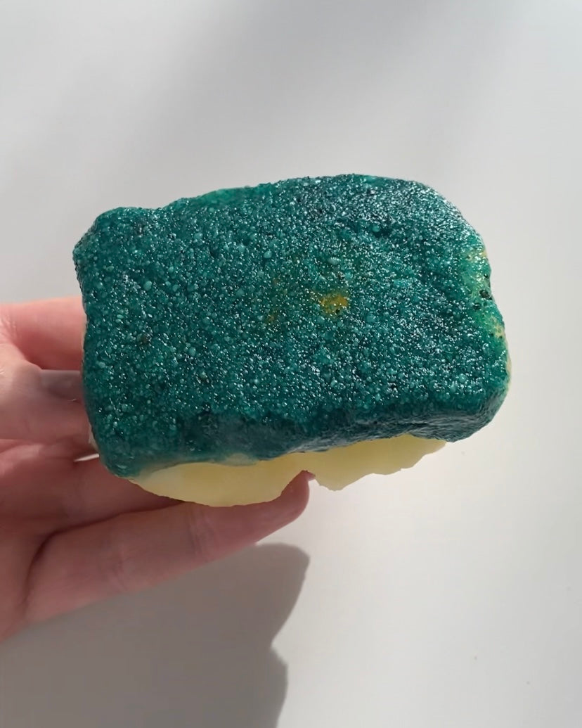Spooky Sponge