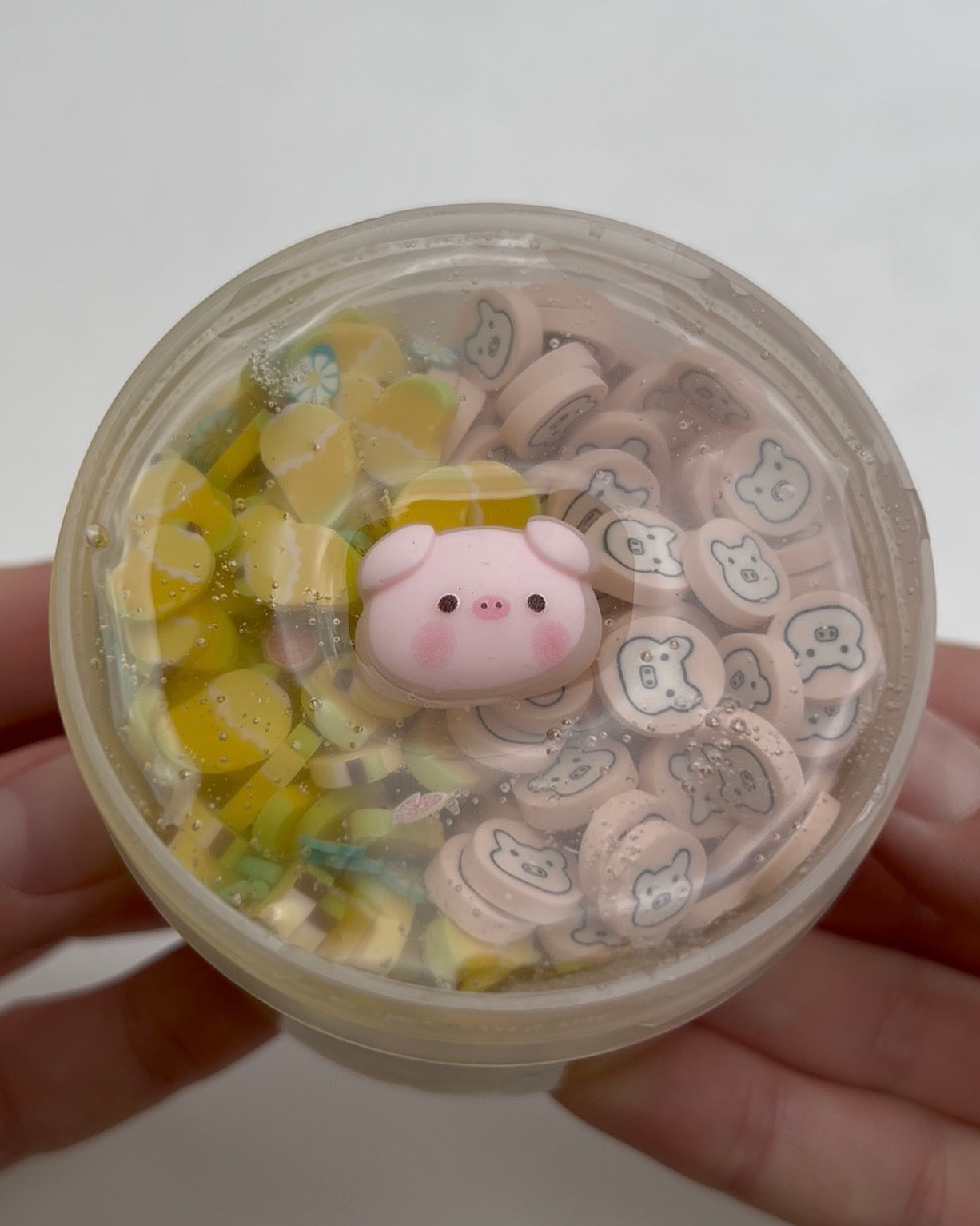 Tropical Piggy