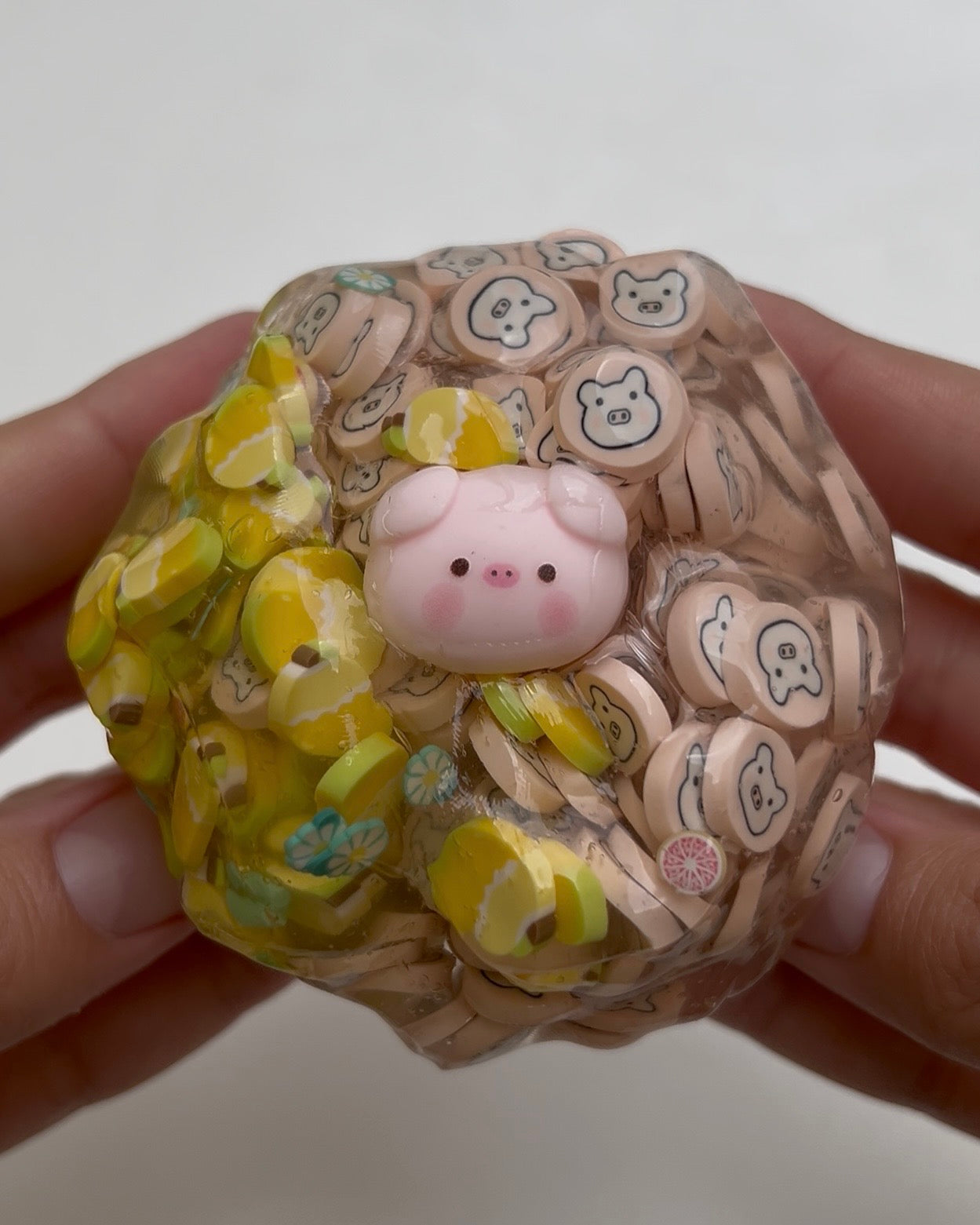Tropical Piggy