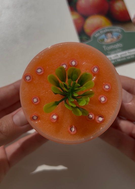 Heirloom Tomato Sorbet