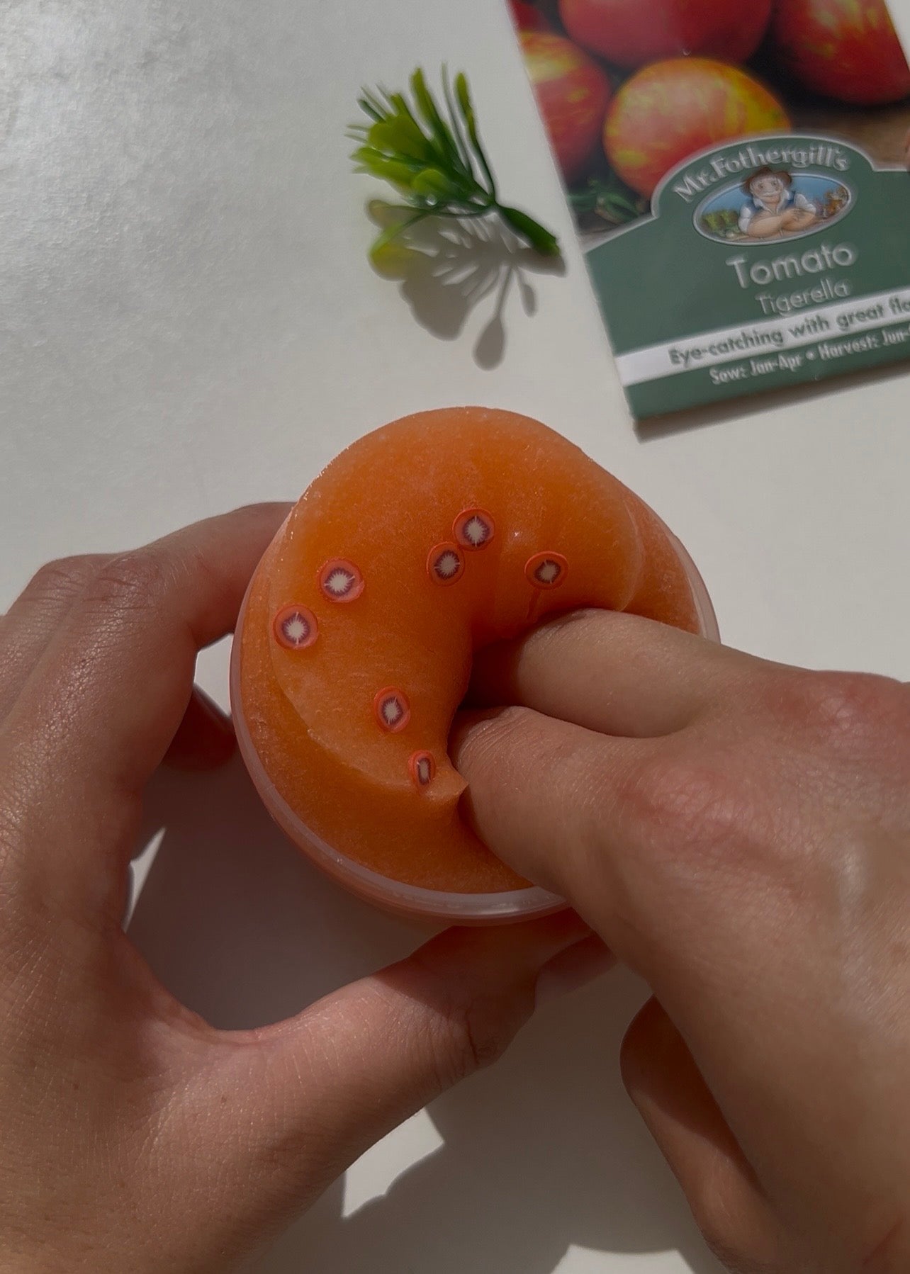 Heirloom Tomato Sorbet